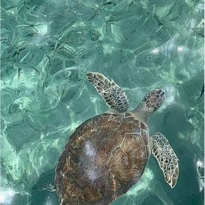 Meet your Posher, Kelli